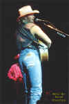 Ajacks~1.jpg (92749 bytes)