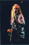 Guitar.jpg (94155 bytes)